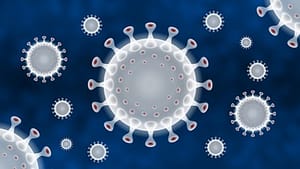 Coronavirus Immune System