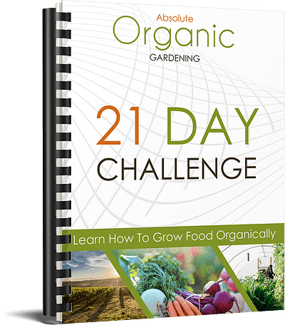 Organic Gardening 21 Day Challenge