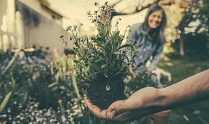 Mindfulness Gardening and Planting