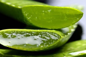 Aloe Vera - the best anti-aging skin care products
