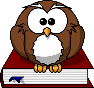 Wise Owl Sitting on Book