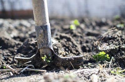 Prepare the Soil for Organic Gardening
