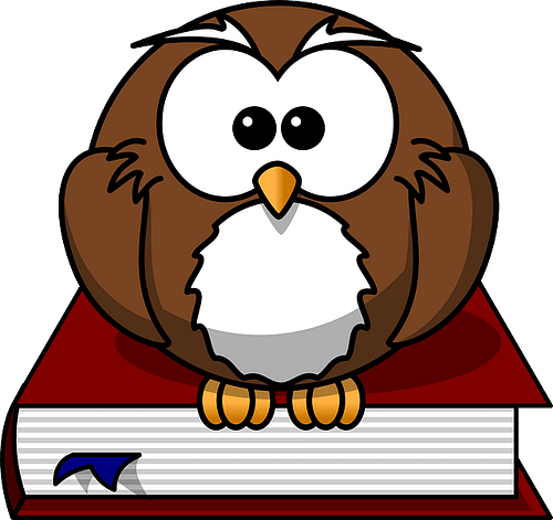 Wise Owl Sitting on Book